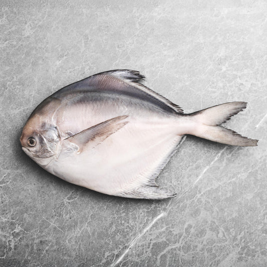 Saf Silver Pomfret Per Lb