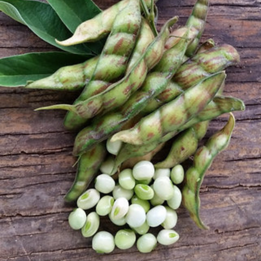 Tuvar Beans  Per Lb