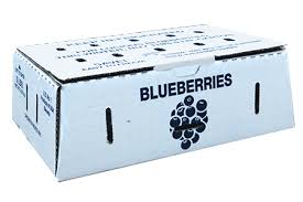 BLUE BERRIES BOX 510G