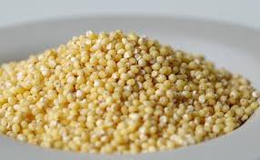 RAGI KARAPUSA
