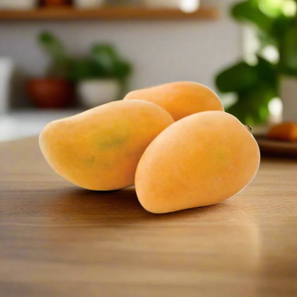 Mingolo Mango Each