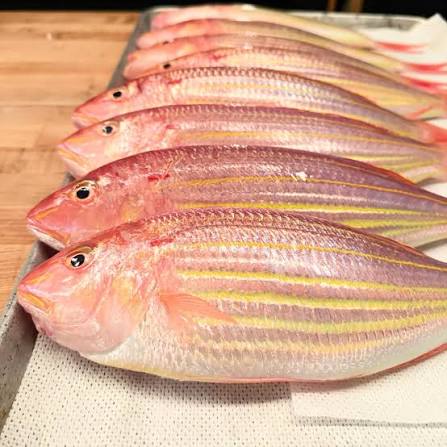 Ob Japanese Threadfin 2lb