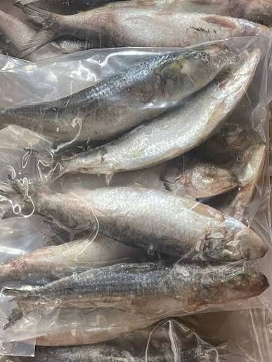 Ob Sardine Whole 2lb