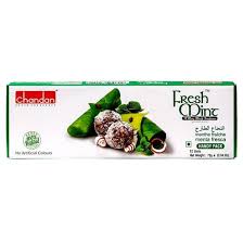 Chandan Fresh Mint Mf 72g