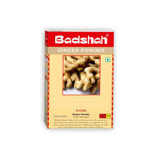 Badshah Ginger Powdr 100gm