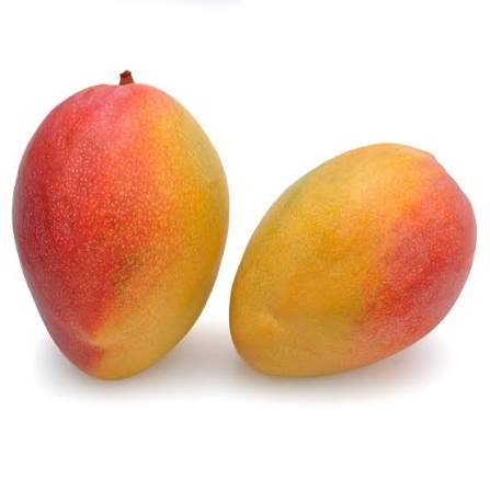 Ripe Mango Haden