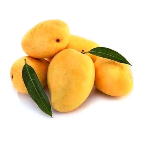 Kesar Mango Small Each