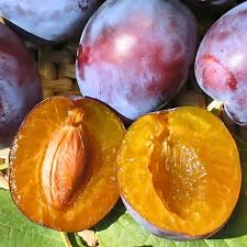 Sugar Plums Per Lb