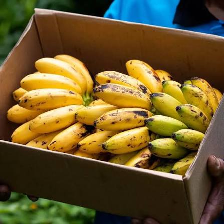 Baby Banana Per Lb