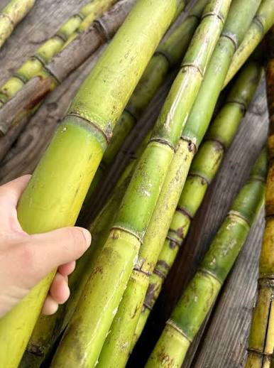 Sugar Cane Green Each