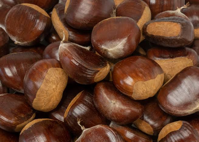Chestnut Jumbo Per Lb