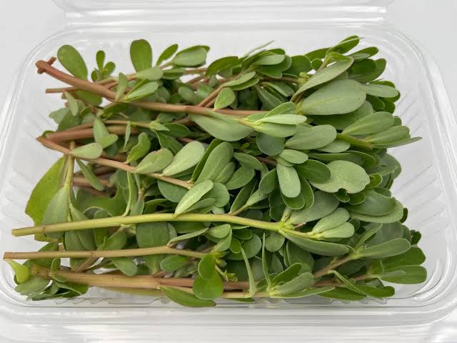 Purslane Leaves Per Pack