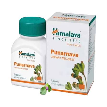 H Punarnava 60 Tab