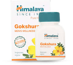 H Gokshura 60 Tablets