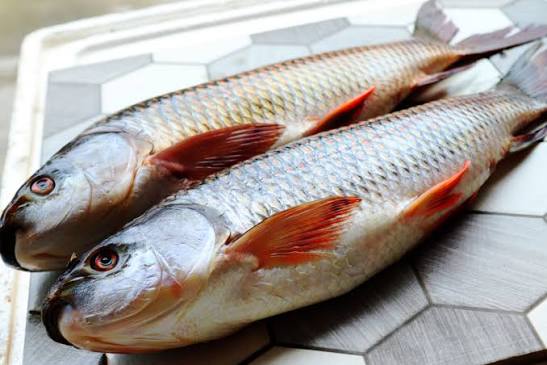 Saf Rohu 4kg Up Per Lb