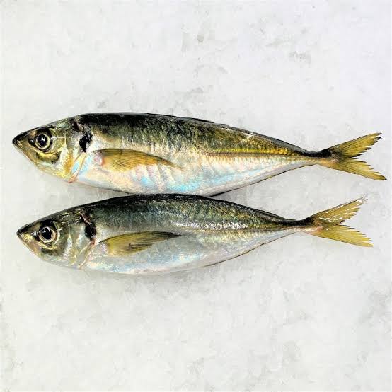 Cleanrage Horse Mackerel 2lb