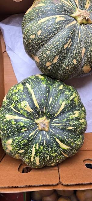 Indian Pumpkin Per Lb