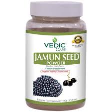 Vedic Jamun Seed Pow 100g
