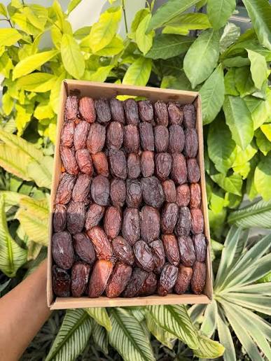 Orchid Medjool Date Jumbo11lb