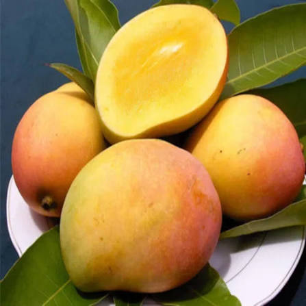 Indian Mangoes Rajapuri Per Lb