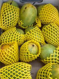 Indian Ripe Rajapuri Mango Box