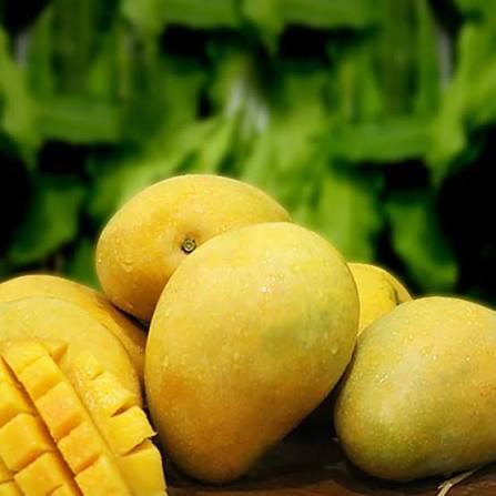 Indian Mango Banginapally  Lb