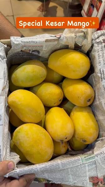Indian Kesar Mango  Box