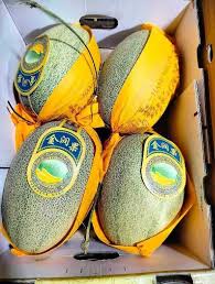 HAMIMELON PER PC
