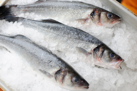 Sea Bass Per Lb