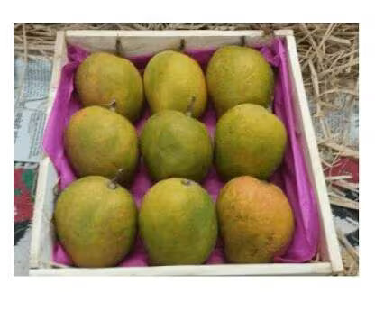 Indian Payari Mango Box