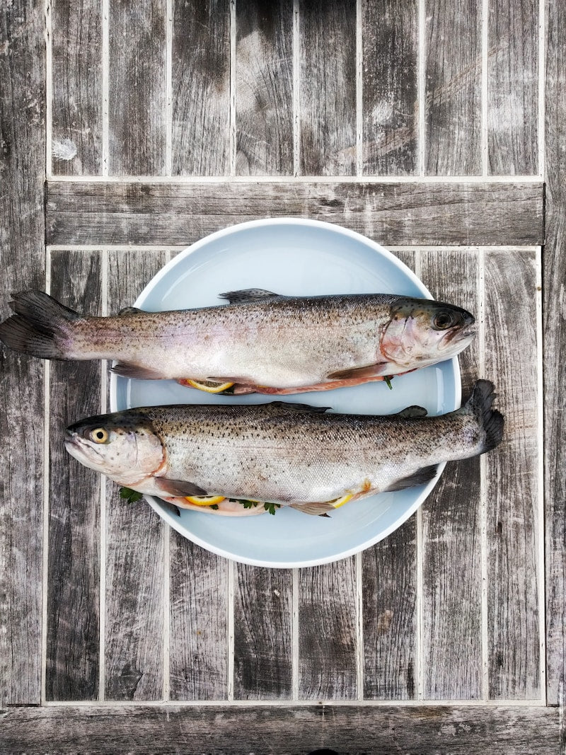LF Sardina 800G