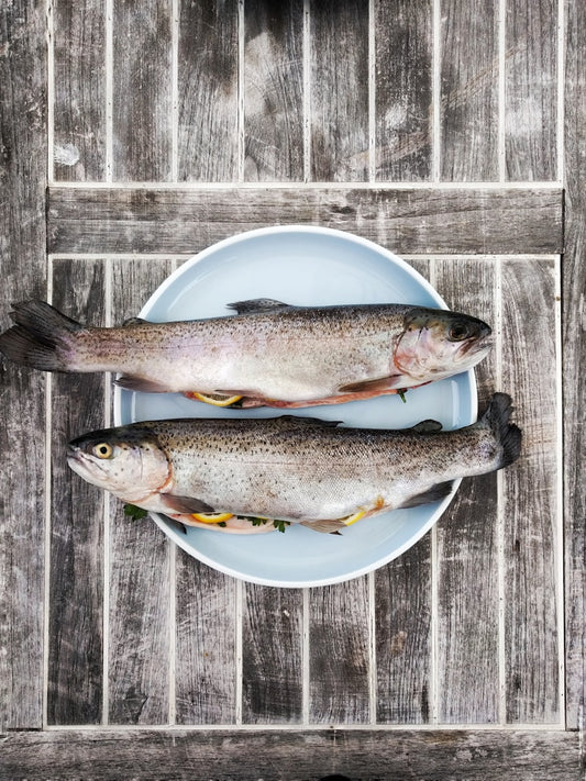 Meenu Tuna Steaks 2LB