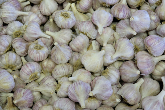 Peeled Garlic Box