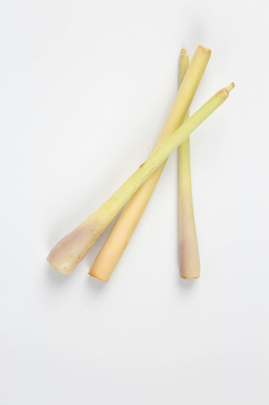 Lemon Grass Per PC